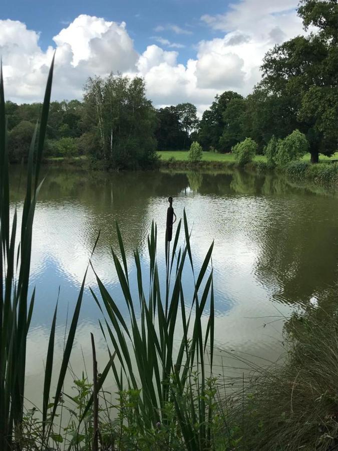 Essay Domaine Du Clos Henri Bed & Breakfast エクステリア 写真