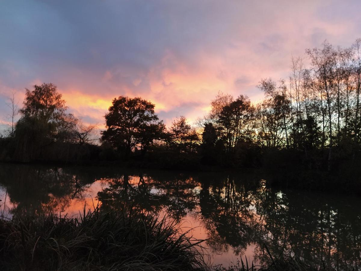 Domaine Du Clos Henri Essay エクステリア 写真